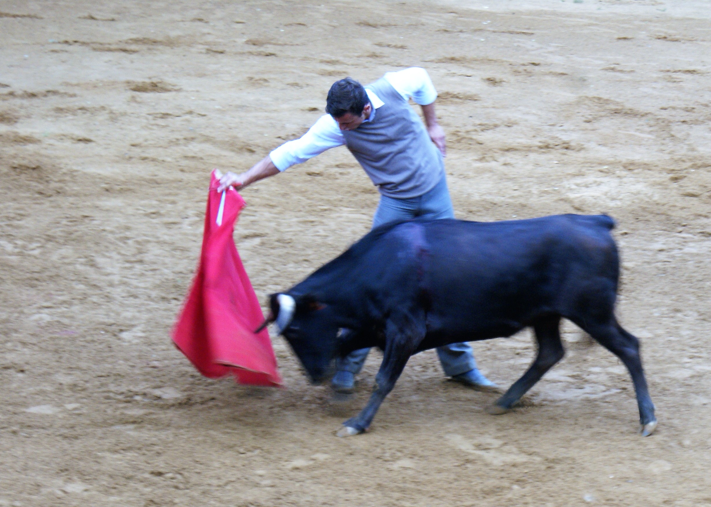 DSC04084 (2).JPG