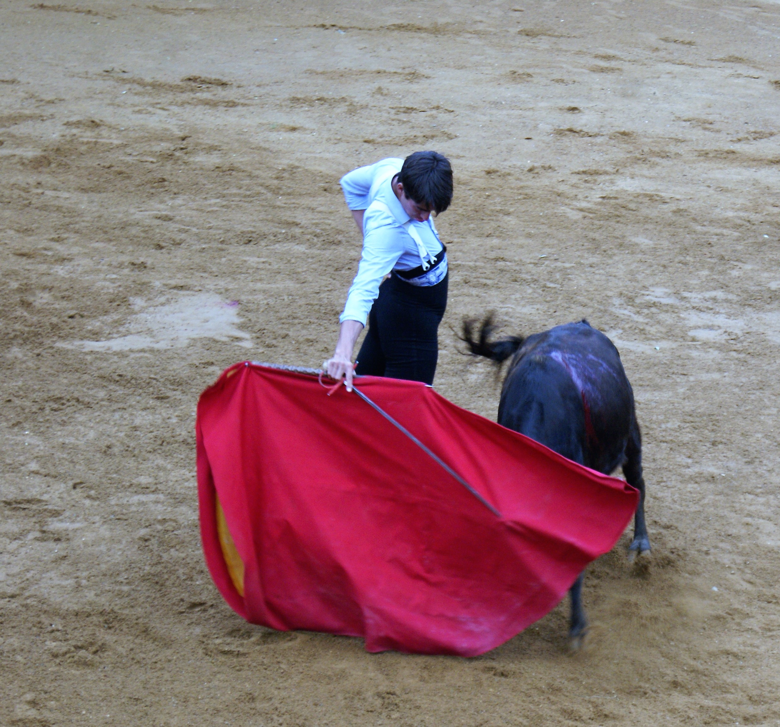 DSC04069 (2).JPG