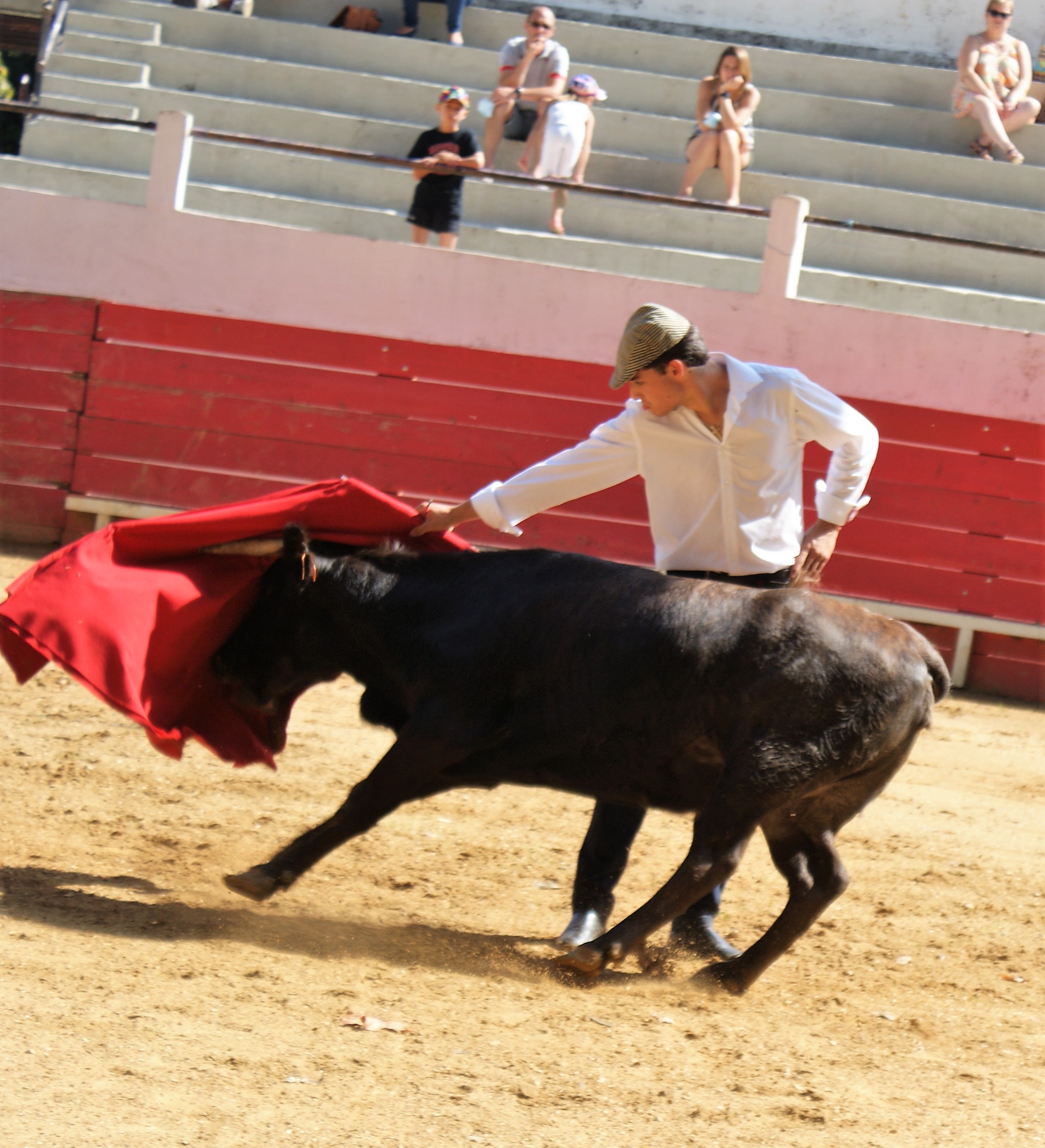 DSC04606 (2).JPG