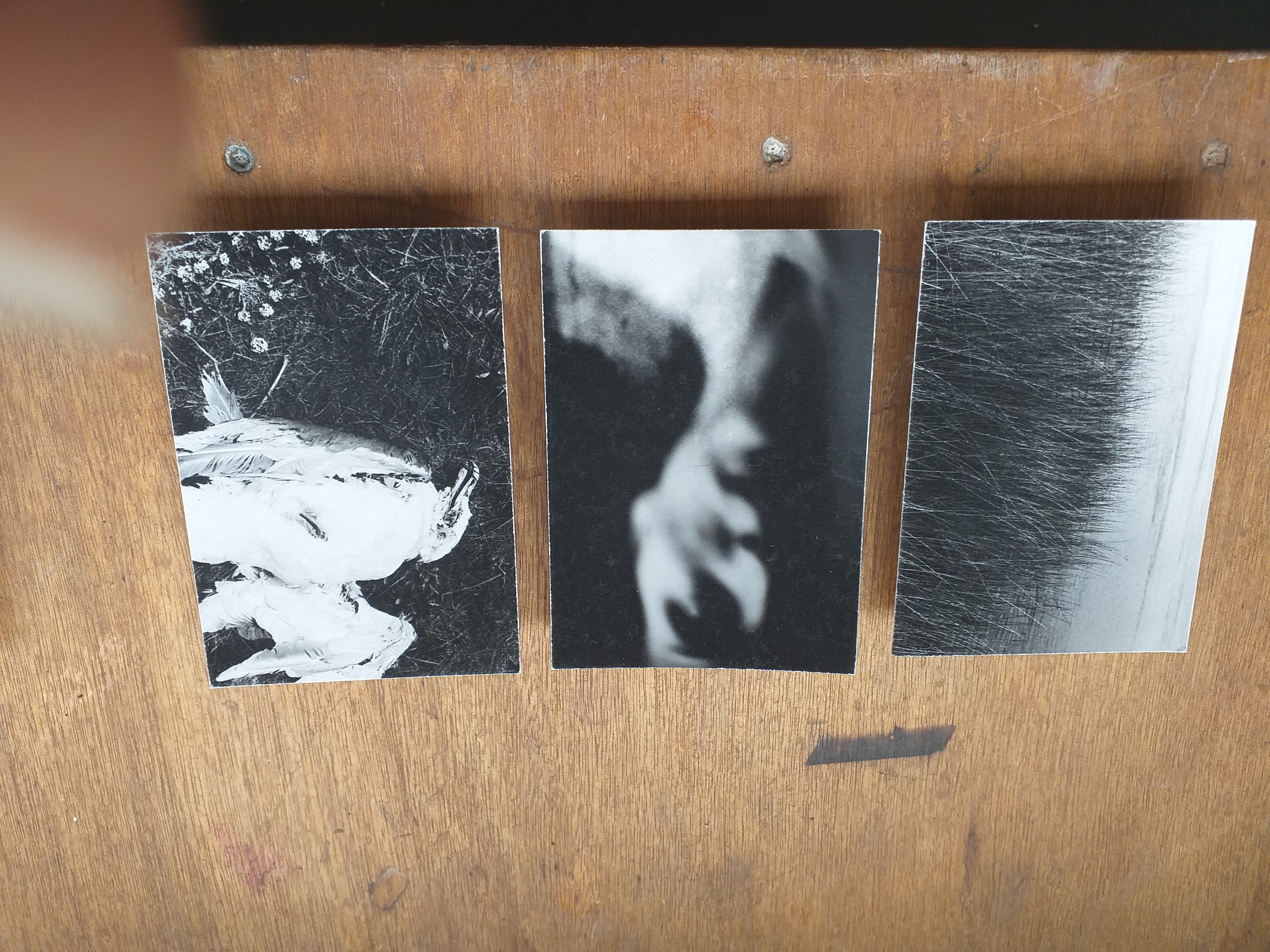 Entre la poétique de la mémoire et la matérialité de la photographie