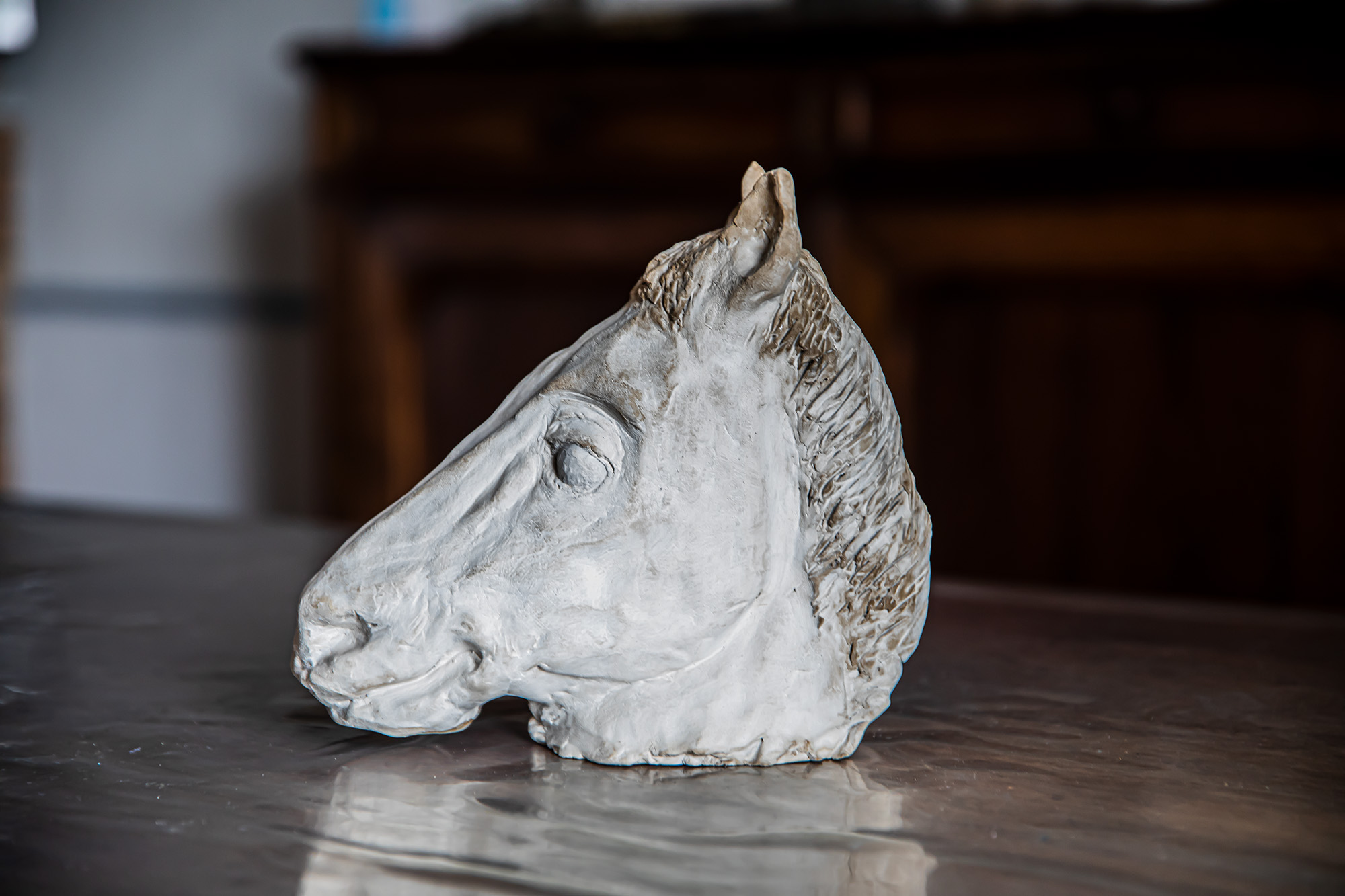 1 Tête de cheval en terre cuite Guy Lago 1bis 070921.jpg