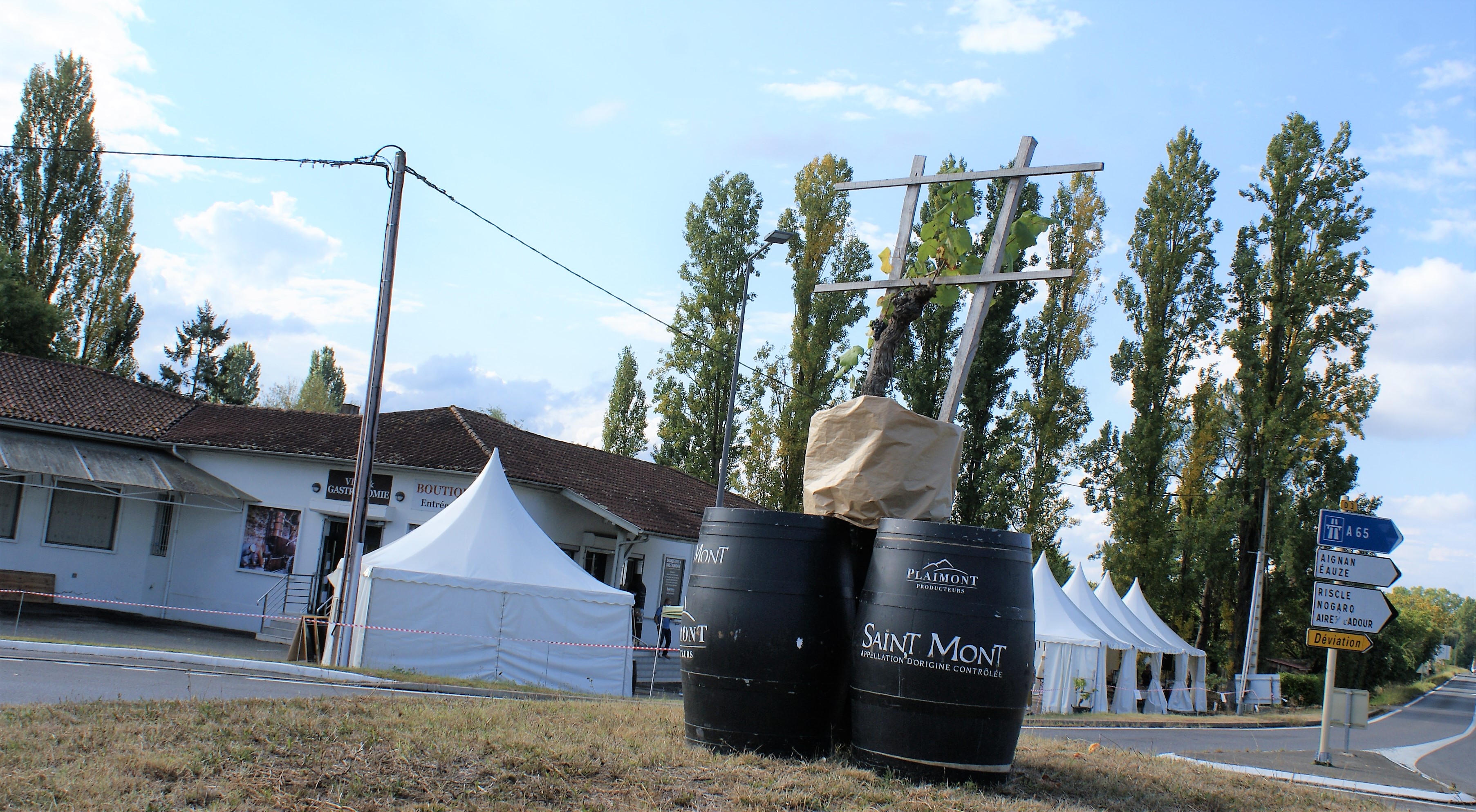 DSC04348 (2).JPG