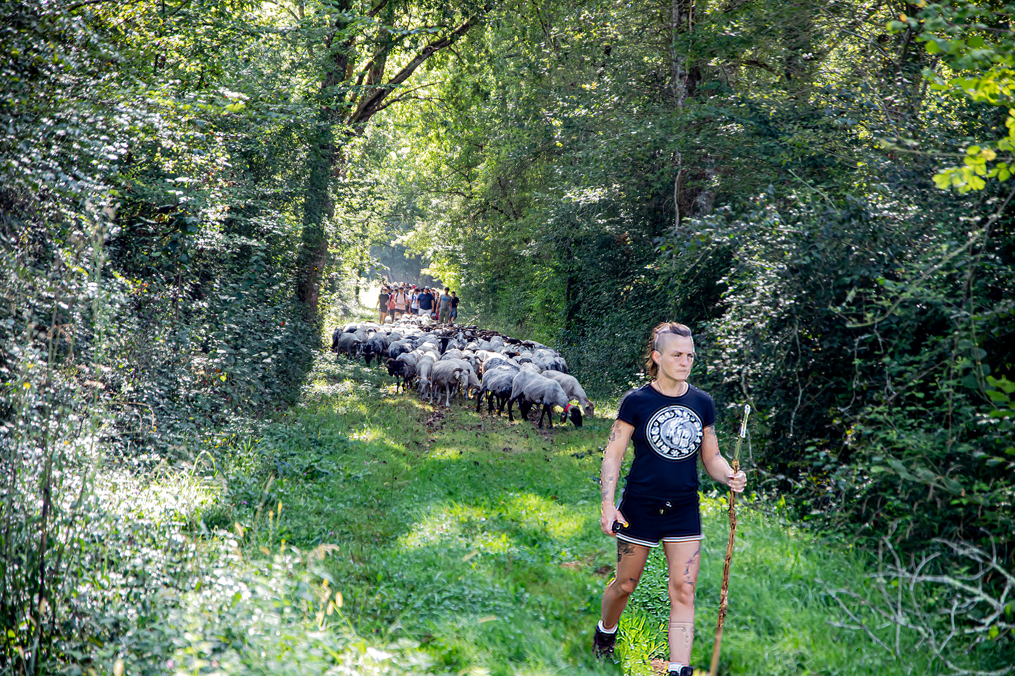 1 Arrivée du troupeau avec compagne de Txomin 1bis 170921.jpg