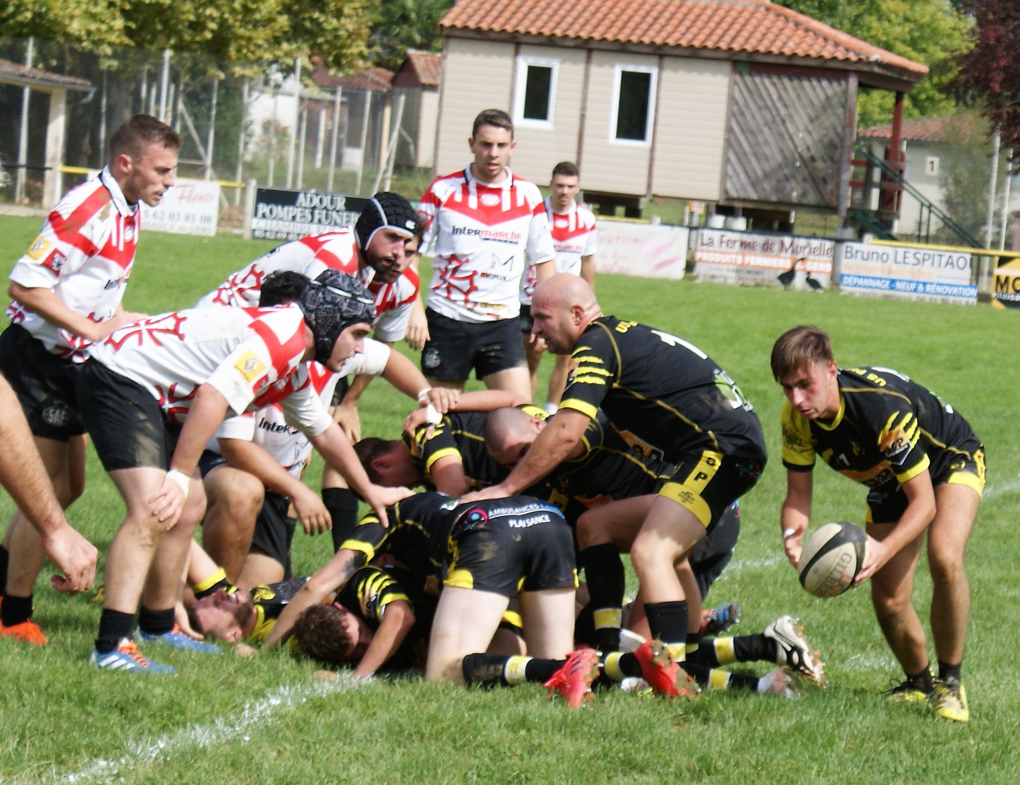 DSC05215 (2).JPG