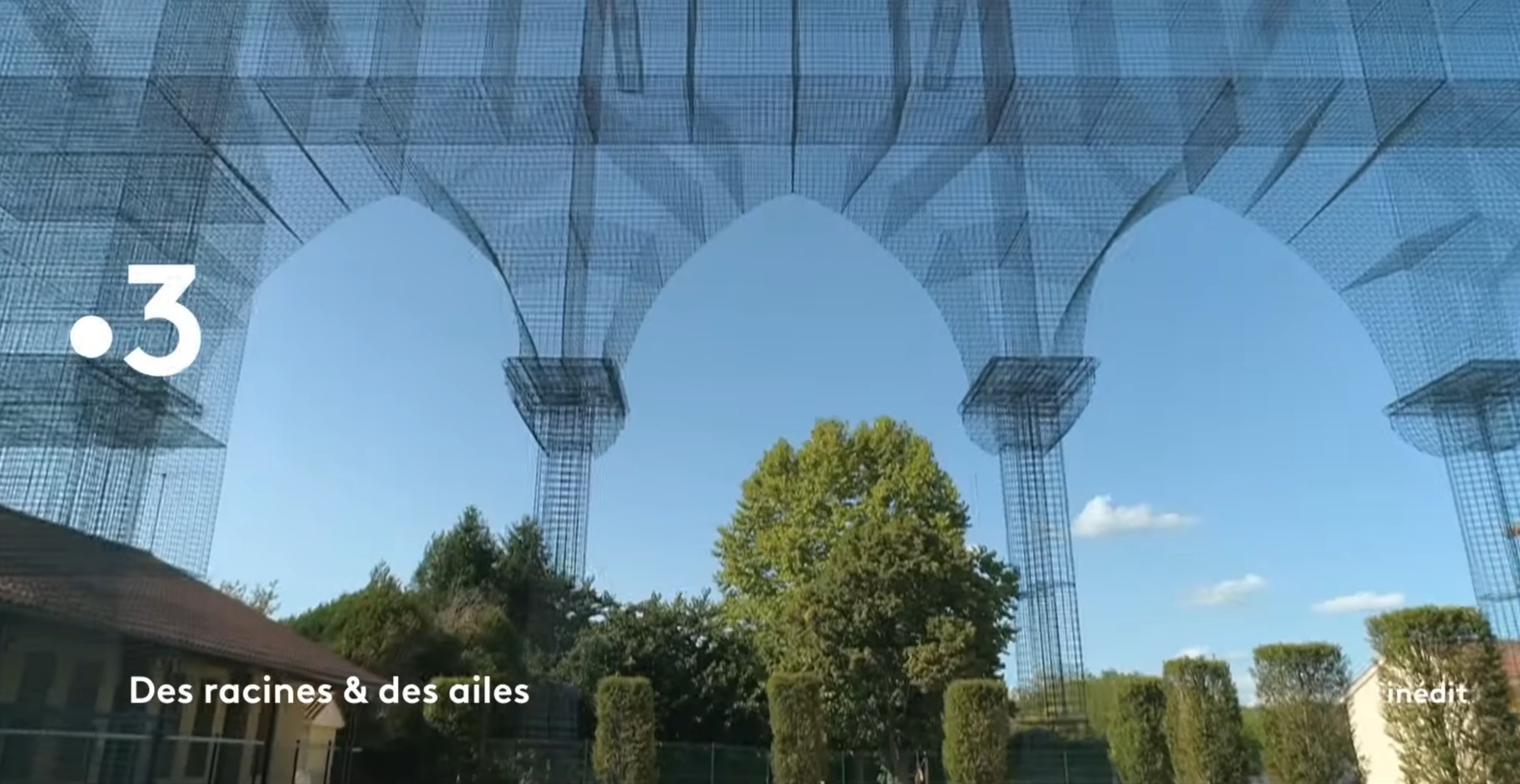 marciac fr3 racine et des ailes.jpg