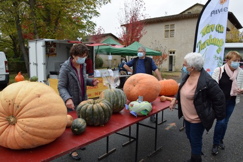 L'exposition des citrouilles