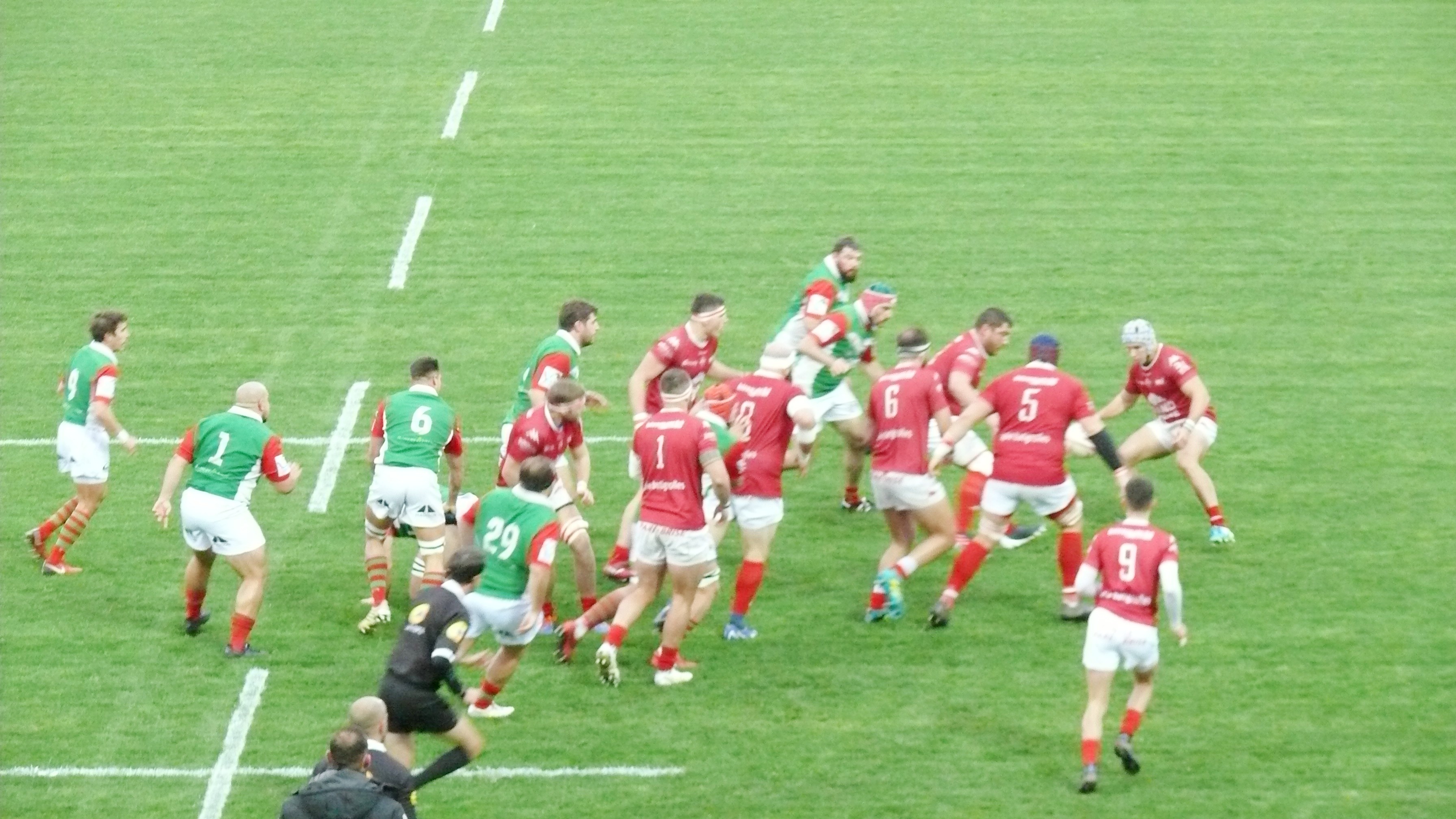 P1740002.JPG