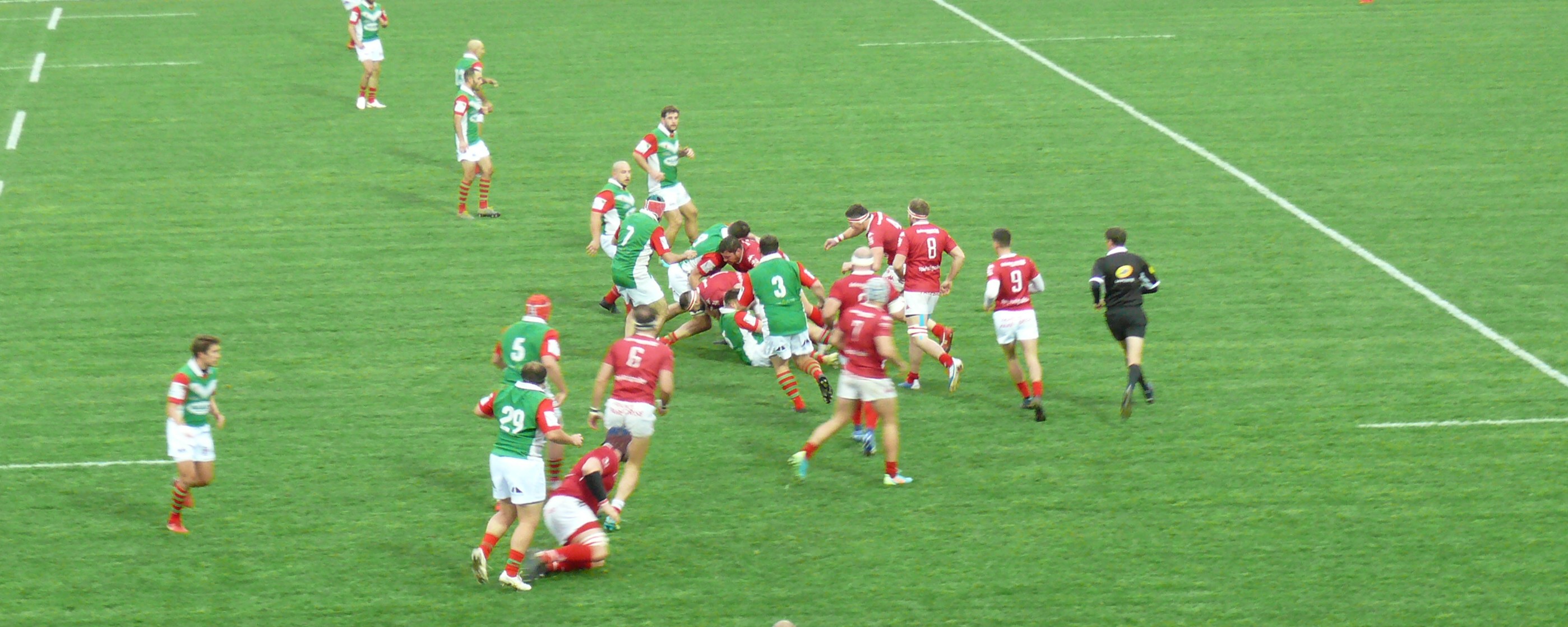 P1740005.JPG