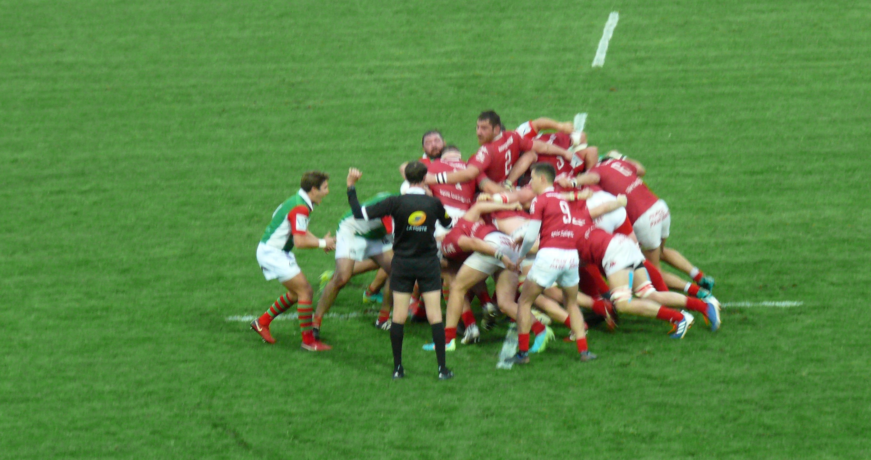 P1740026.JPG