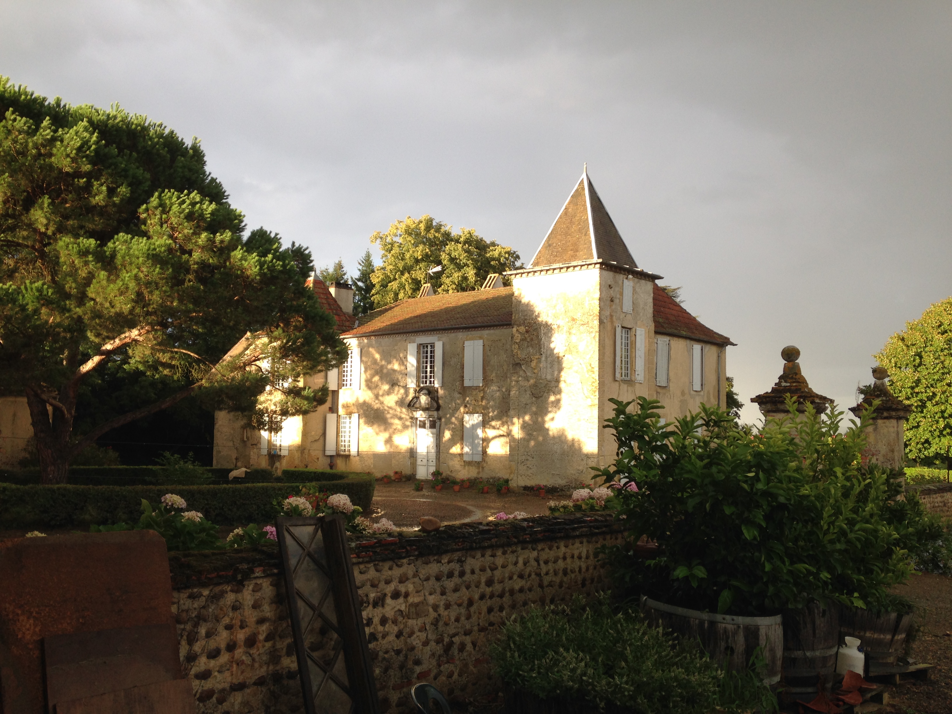CHATEAU DE PERRON ombre-pin.jpg