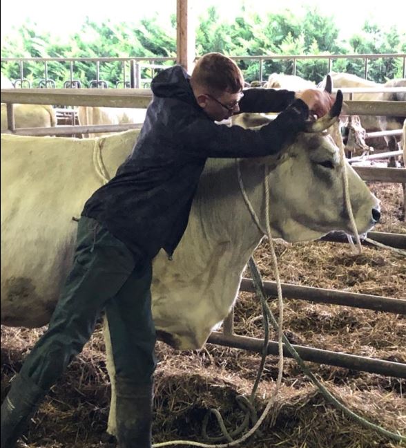 lpa corde vache.JPG