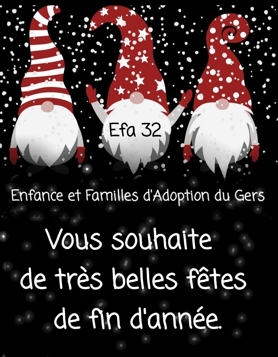 EFA PHOTO POUR VOEUX 2022.jpg