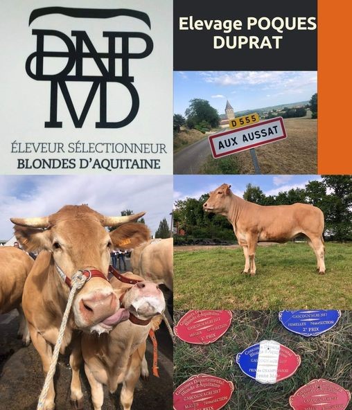 Elevage Poque Duprat.jpg
