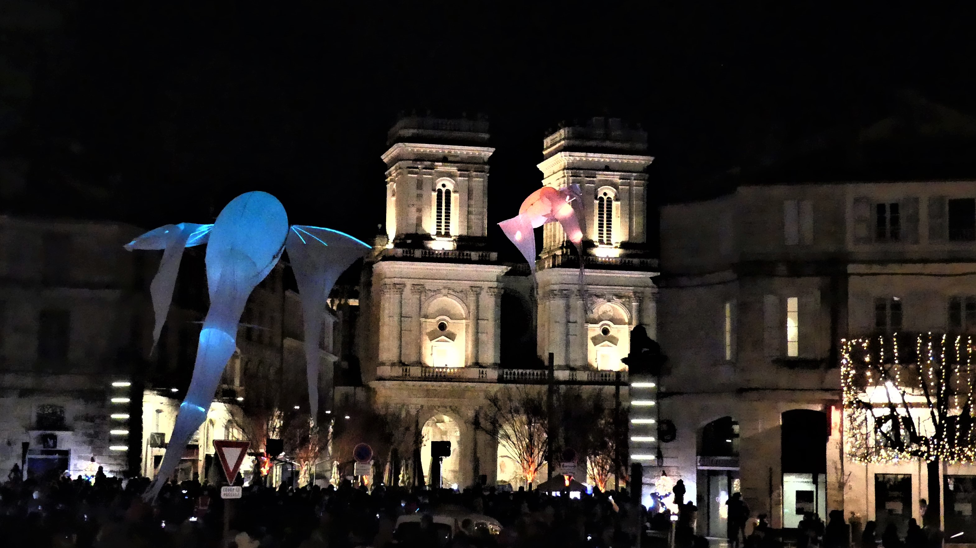P1260088 (2).jpg