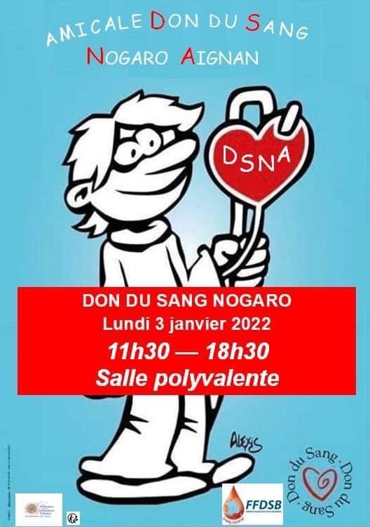 Logo et affiche DSNA 1bis 271221.JPG