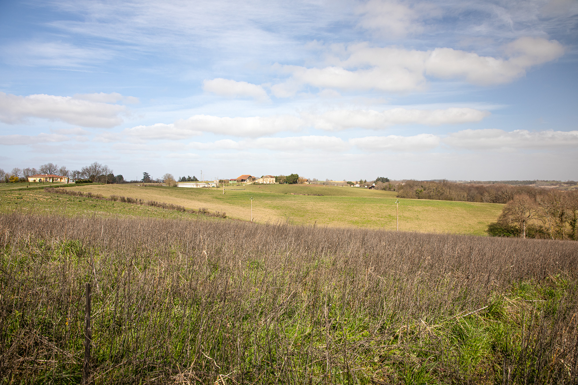 10 Terrain du futur parc 1bis 220222.jpg