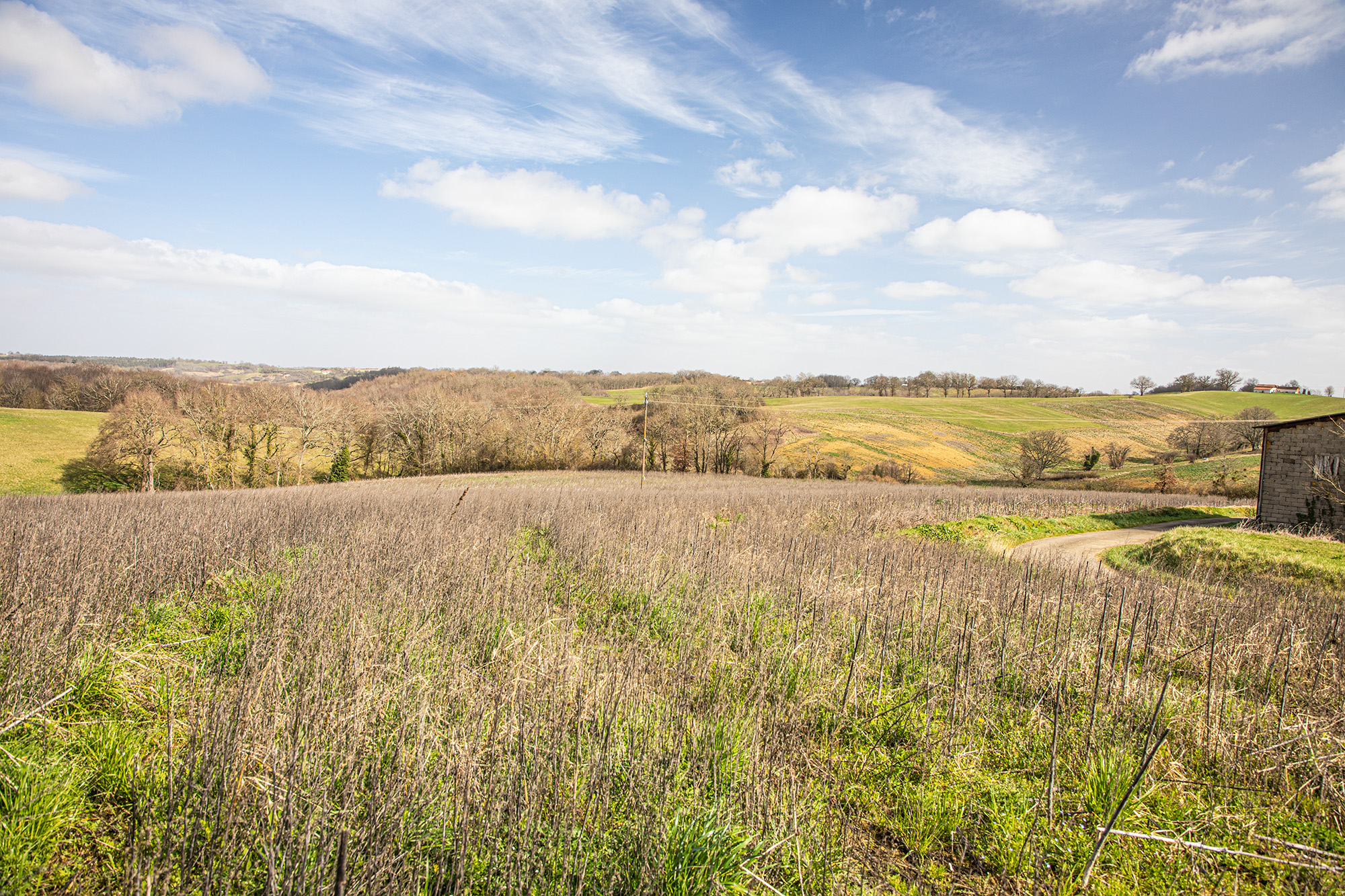 11 centre du terrain du futur parc 1bis 220222.jpg