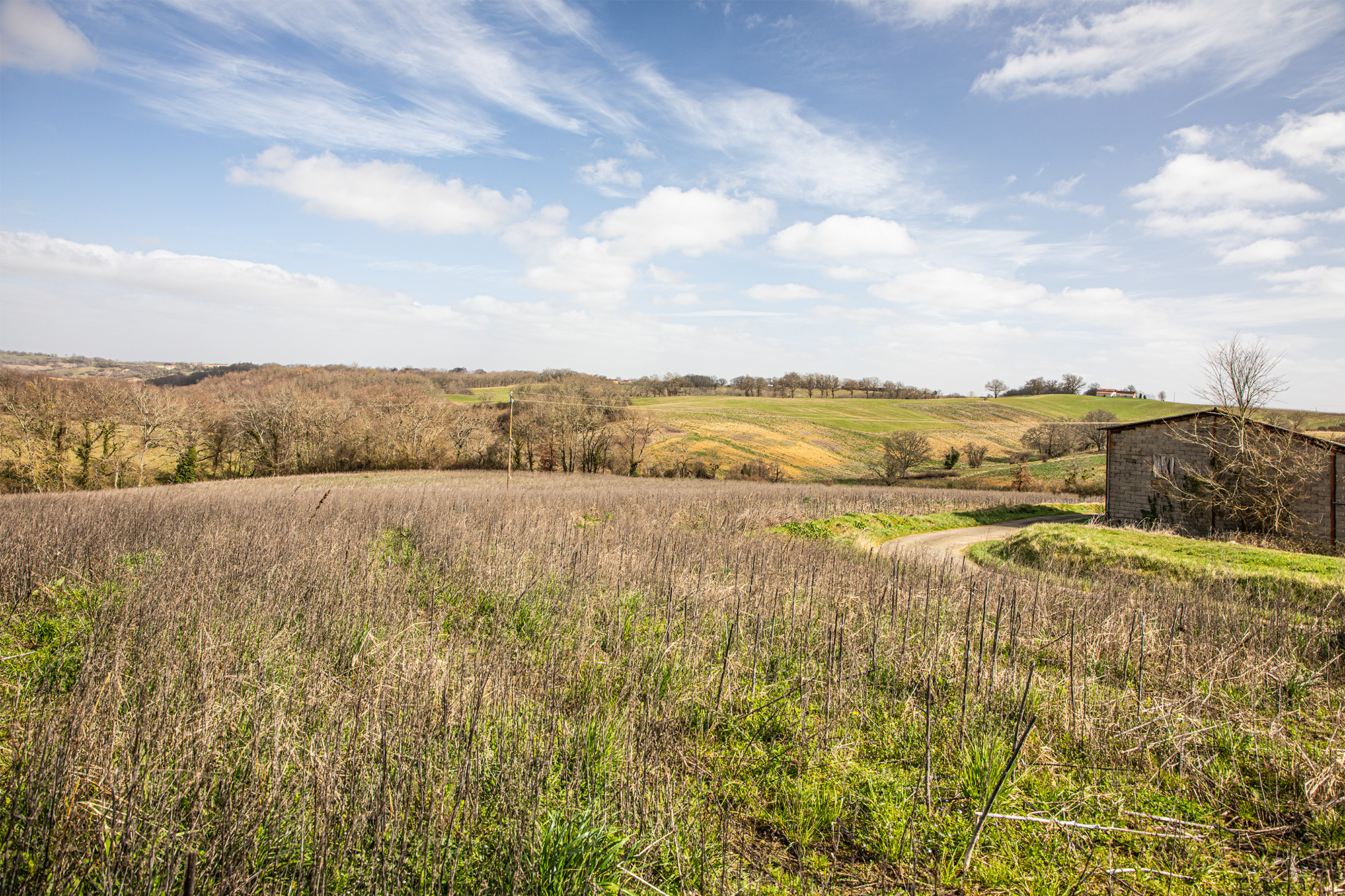 12 Terrain suite et fin du futur parc 1bis 220222.jpg