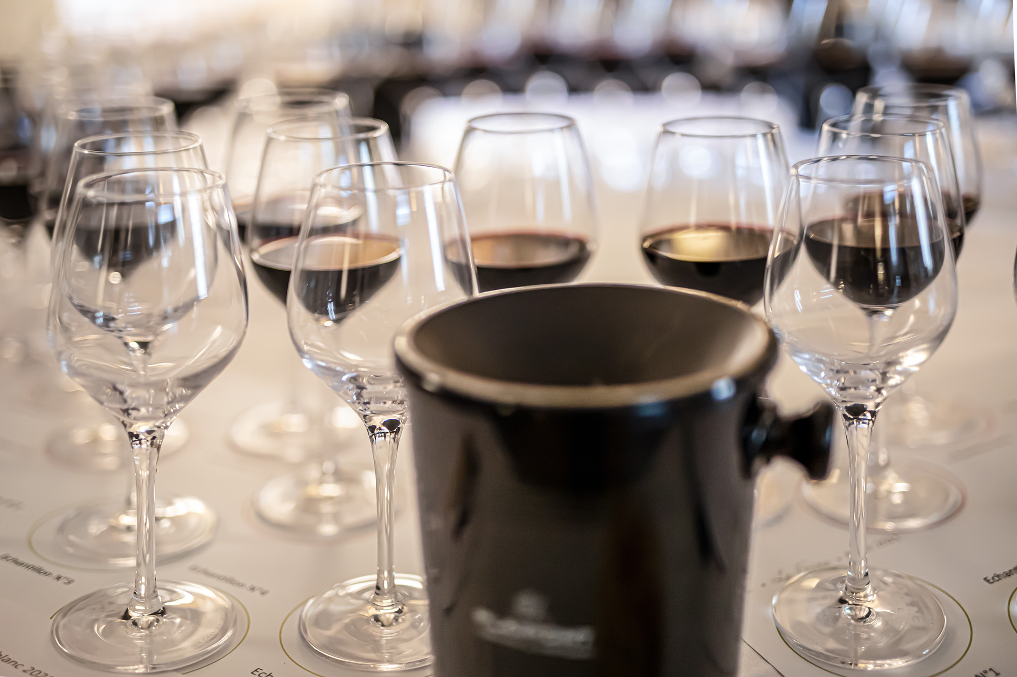 1 Gros plan sur les verres de dégustation 1bis 140322.jpg