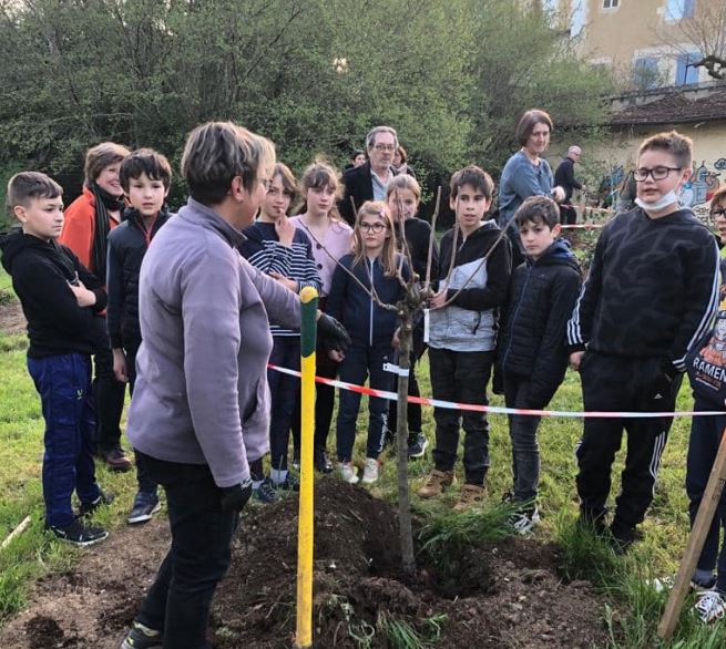condom des arbres 3.JPG