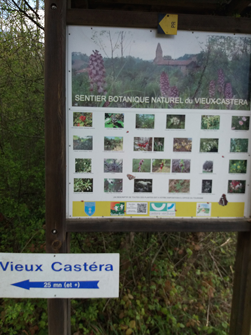 castera 20220404_131845.jpg