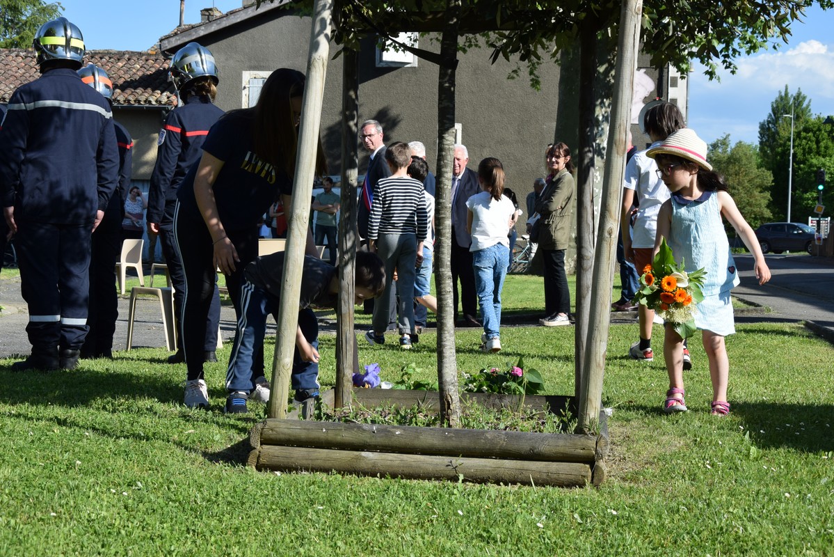 Les bouquets des enfants au pied de l'arbre de la liberté
