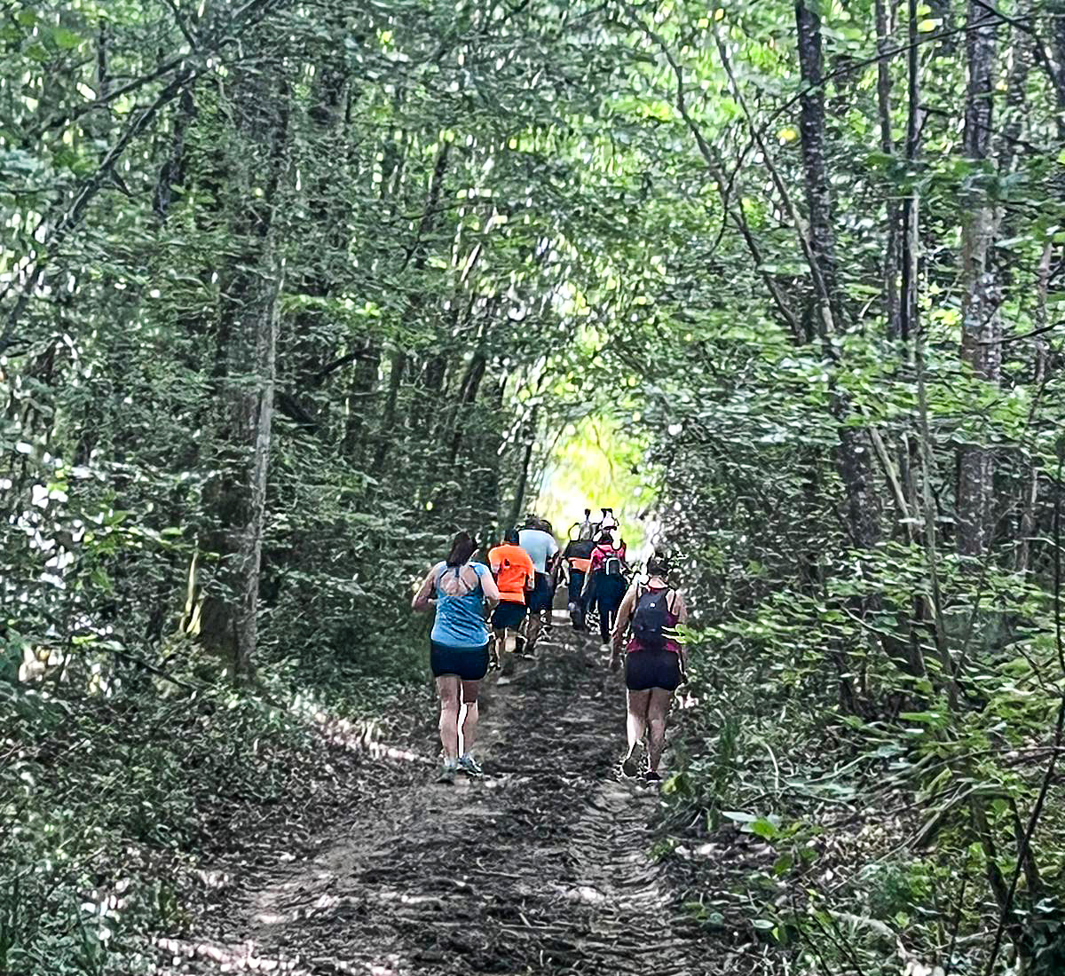9 En sous-bois DR 1bis 260522.jpg