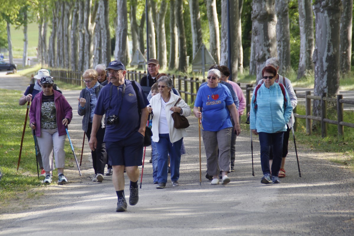 Marche interclubs Marciac 27052022 (8) [1280x768].JPG