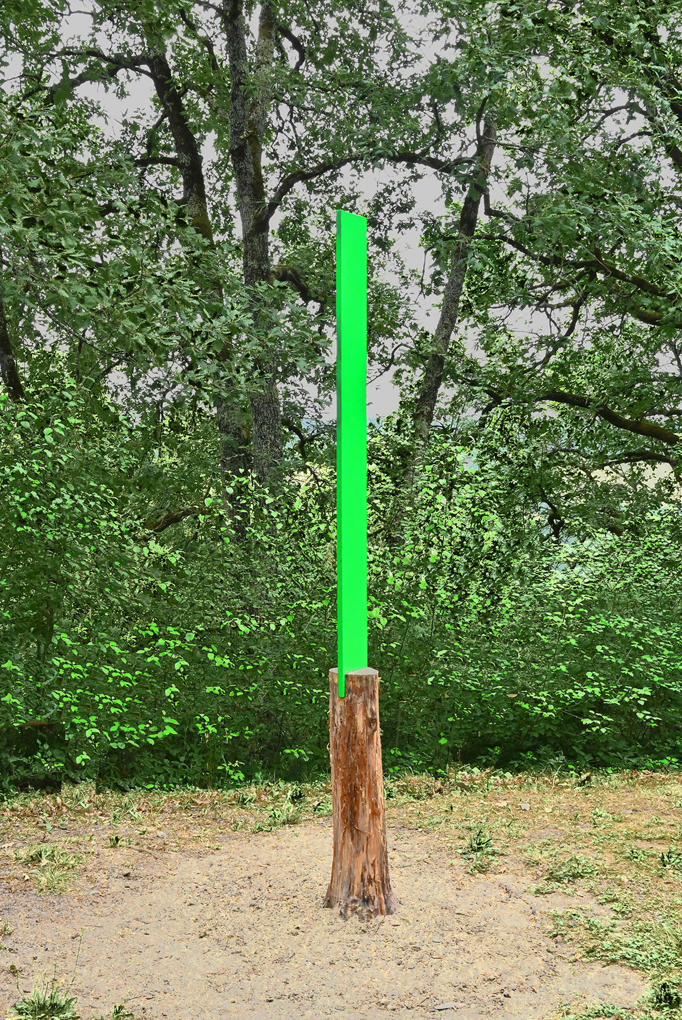 DSC_2188 1 72.jpg