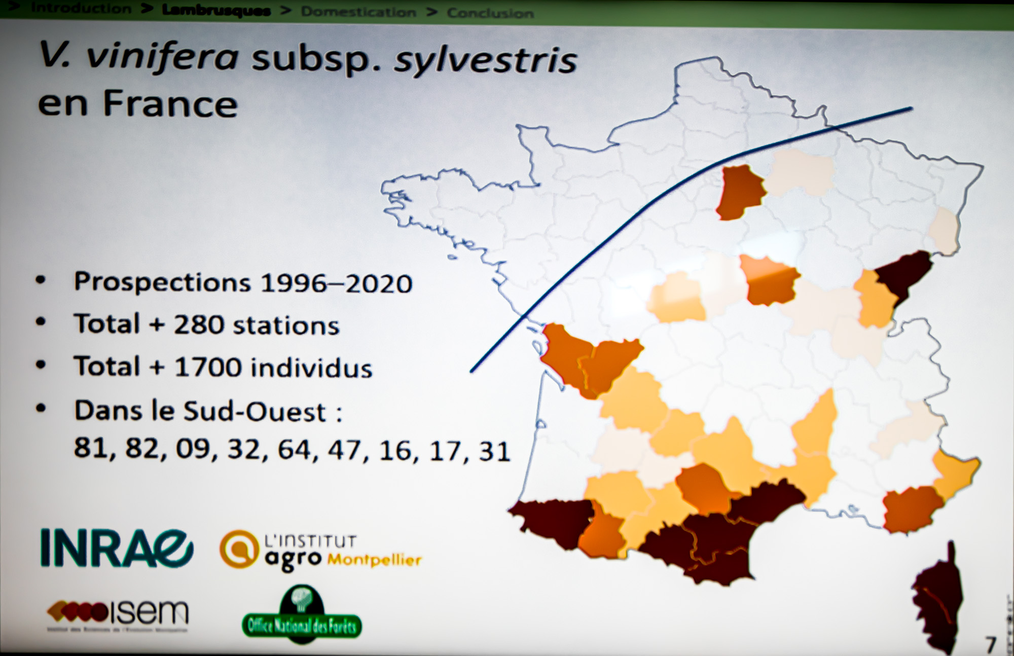 11 Répartition lambrusques en France Thierry lacombe 1bis 200622.jpg