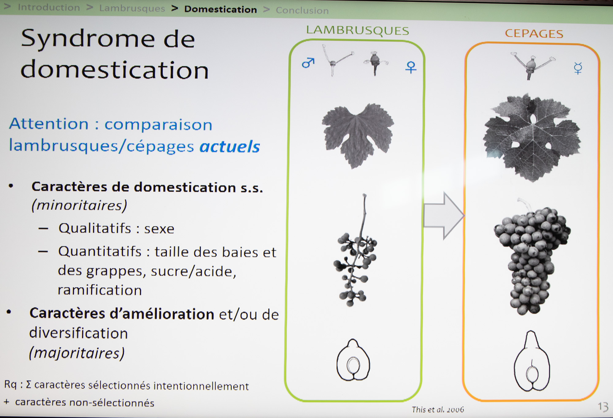 16 Syndrome dedomestication Thierry laborde 1bis200622.jpg
