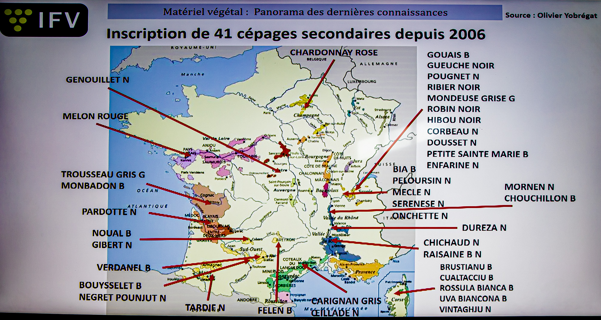 34 Inscription de cépages Laurent Audeguin1bis 200622.jpg