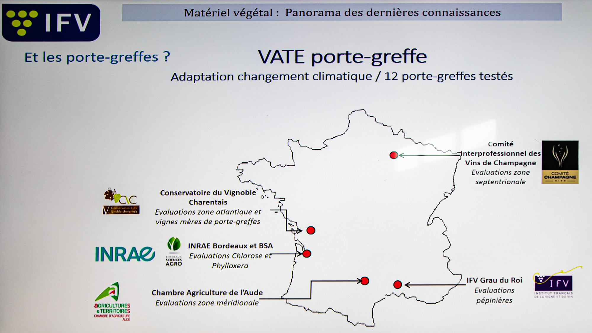 37 Vate porte-greffe Laurent Audeguin1bis 200622.jpg