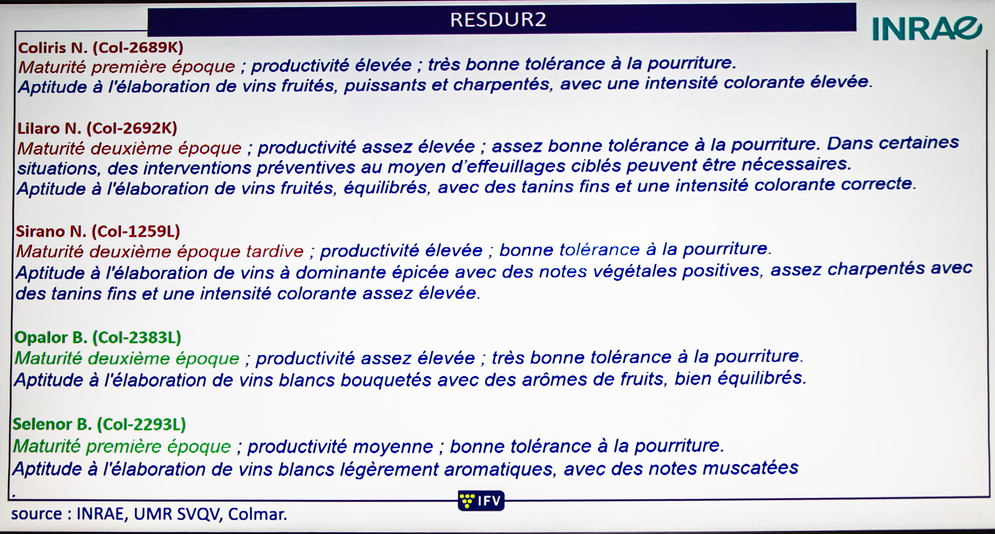 43 5 Résistants de Resdur 2 Laurent Audiguin 1bis 200622.jpg