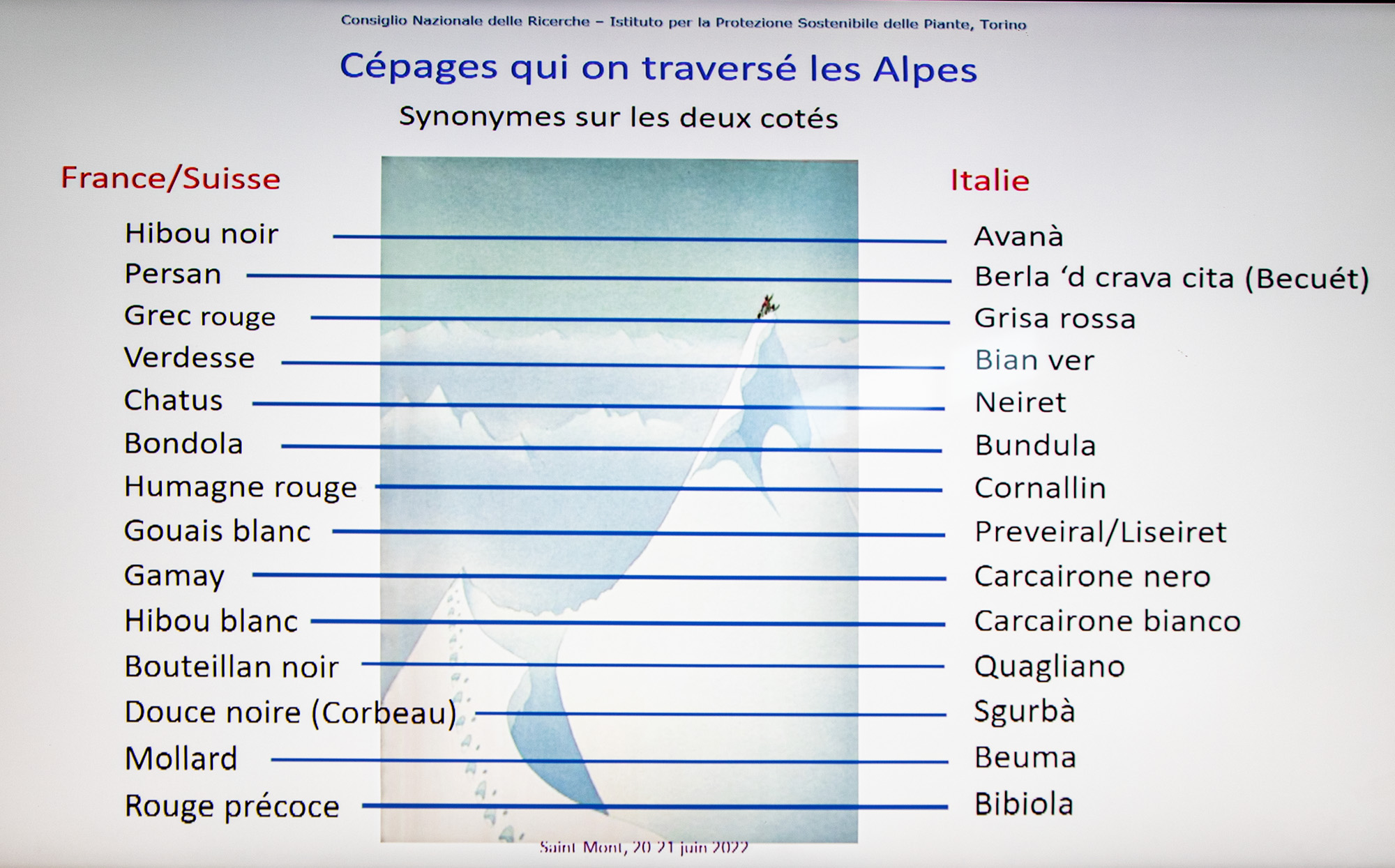 76 Cépages qui ont traversé les Alpes Anna Schneider 1bis 200622.jpg
