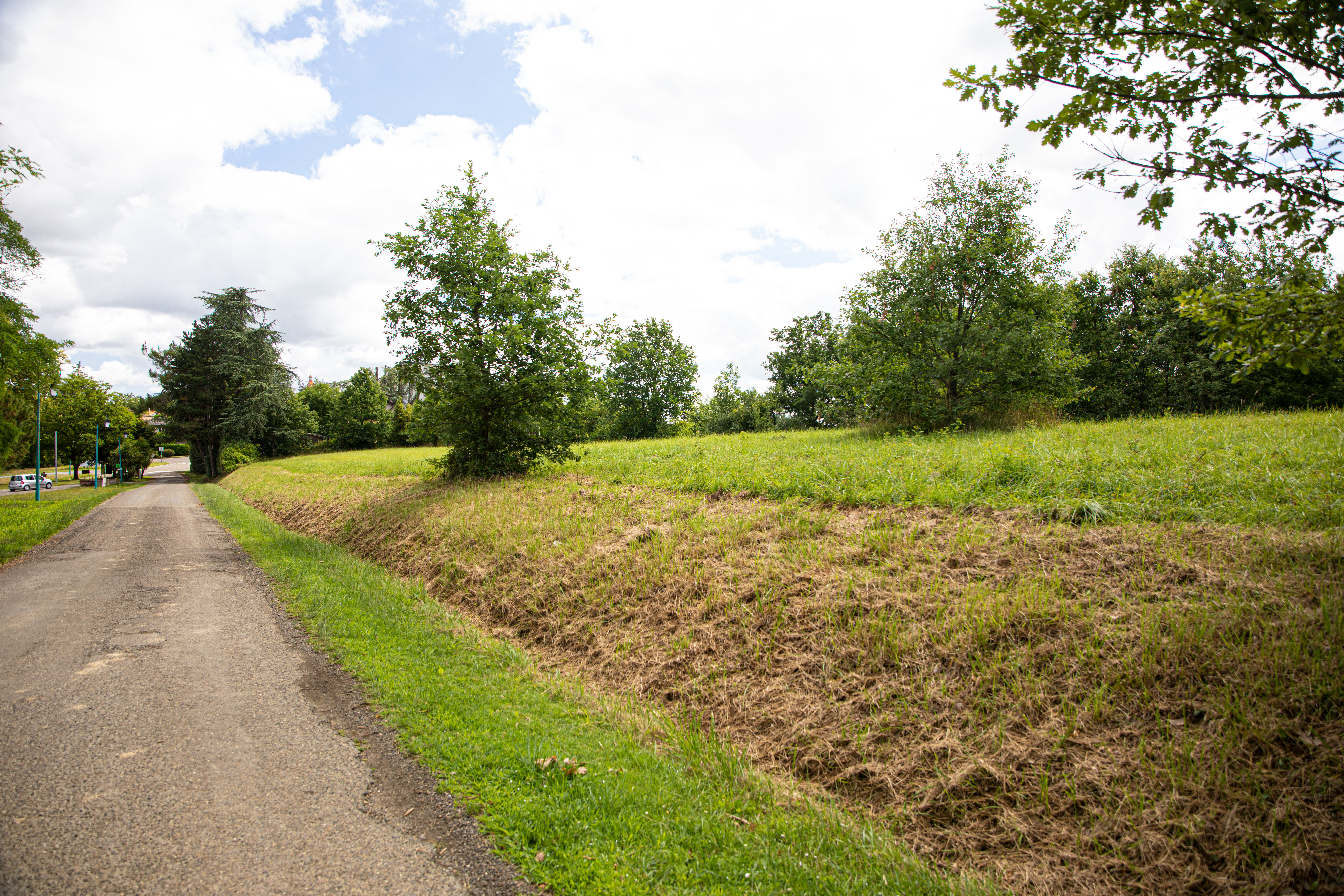 5 3e terrain région du Castex 1bis 010722.jpg