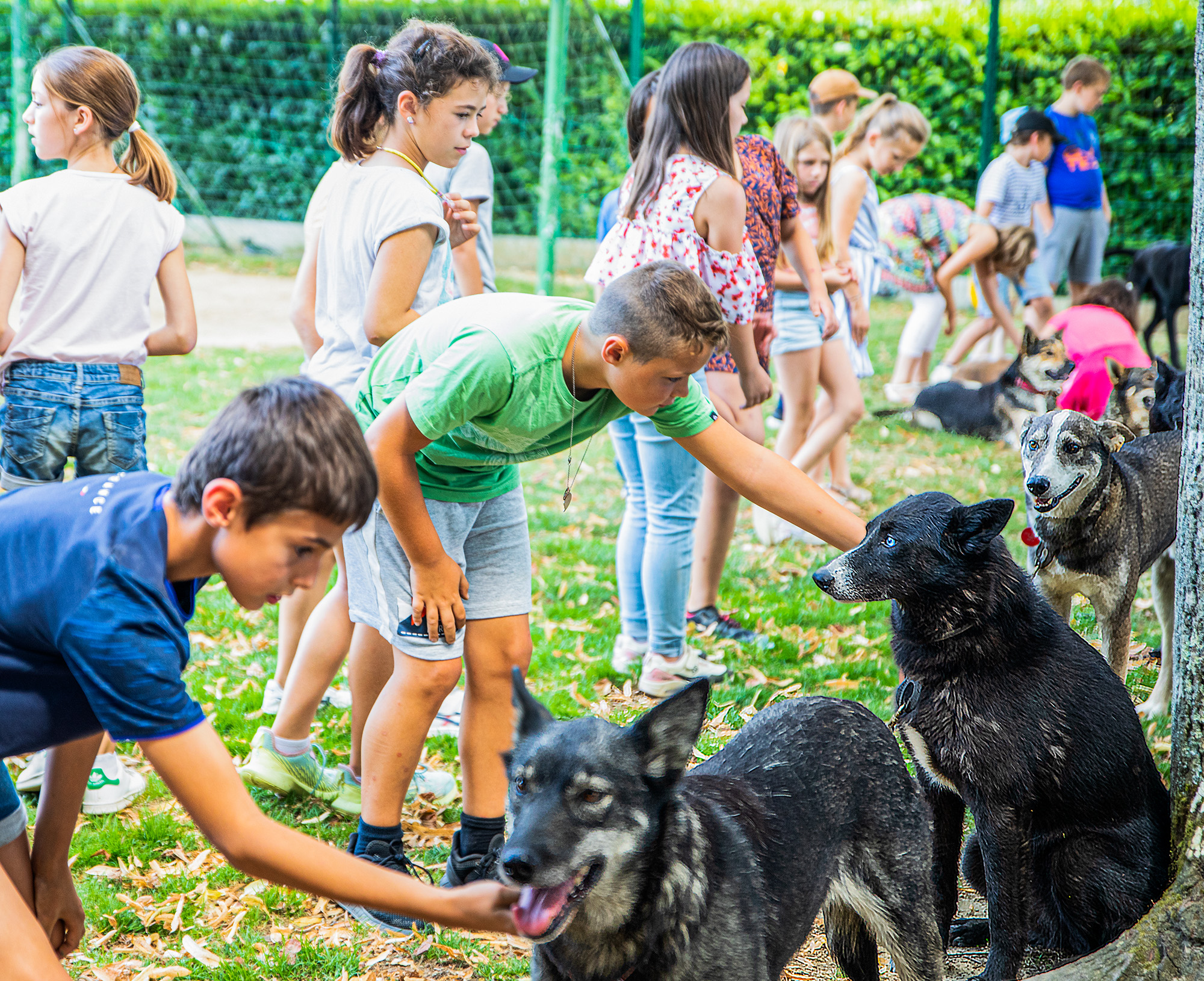 12 Les enfants caressent les chiens  1bis 050722.jpg