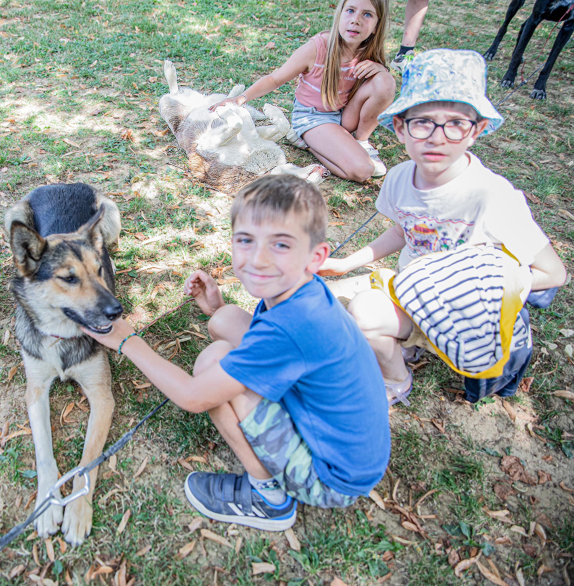 14 Les enfants caressent les chiens  1bis 050722.jpg