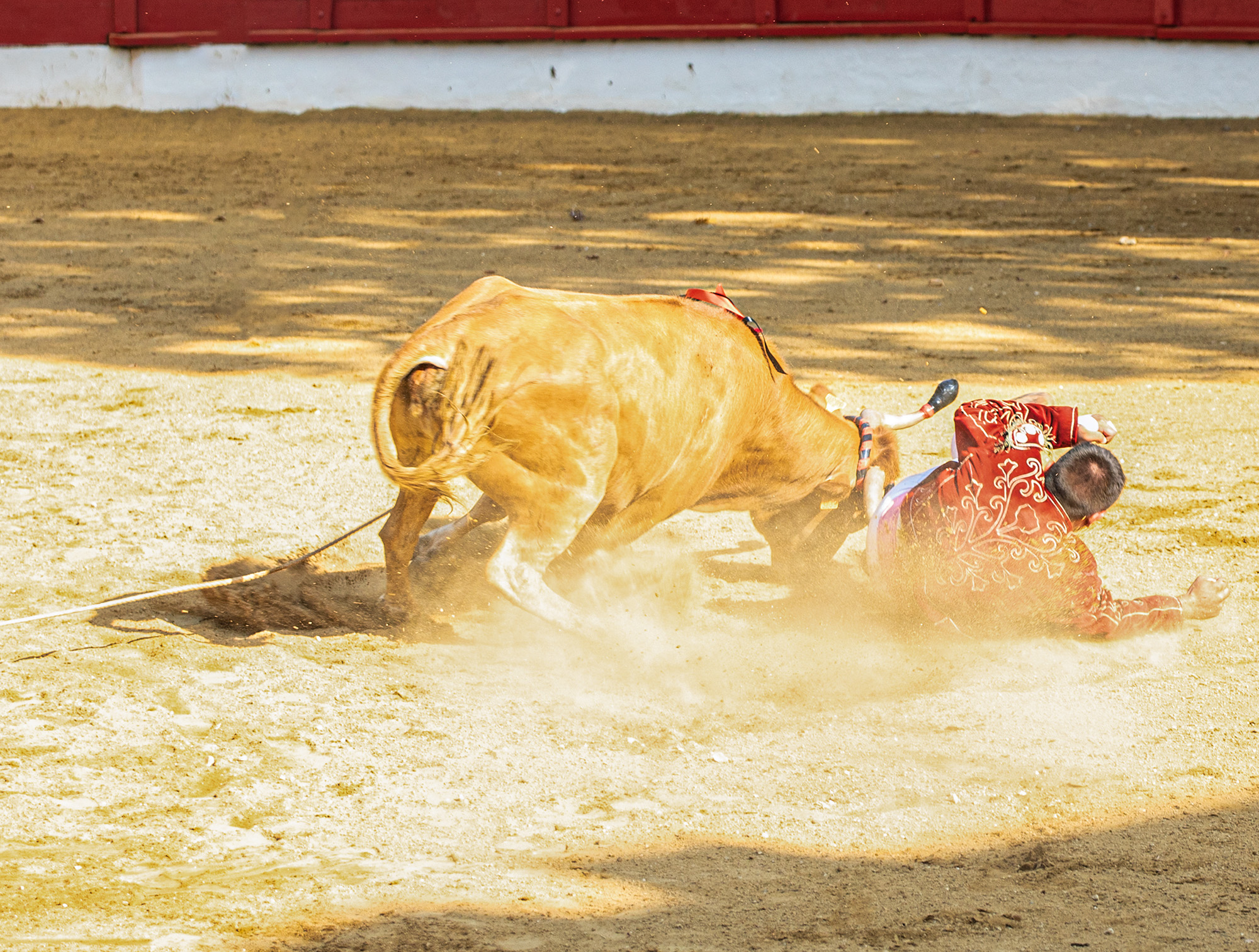29bis et chute 1bis 140722.jpg