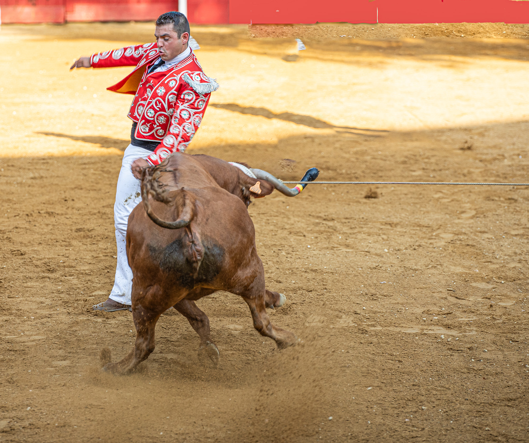 44 Ecrt Kenji Valdes 1bis 140722.jpg