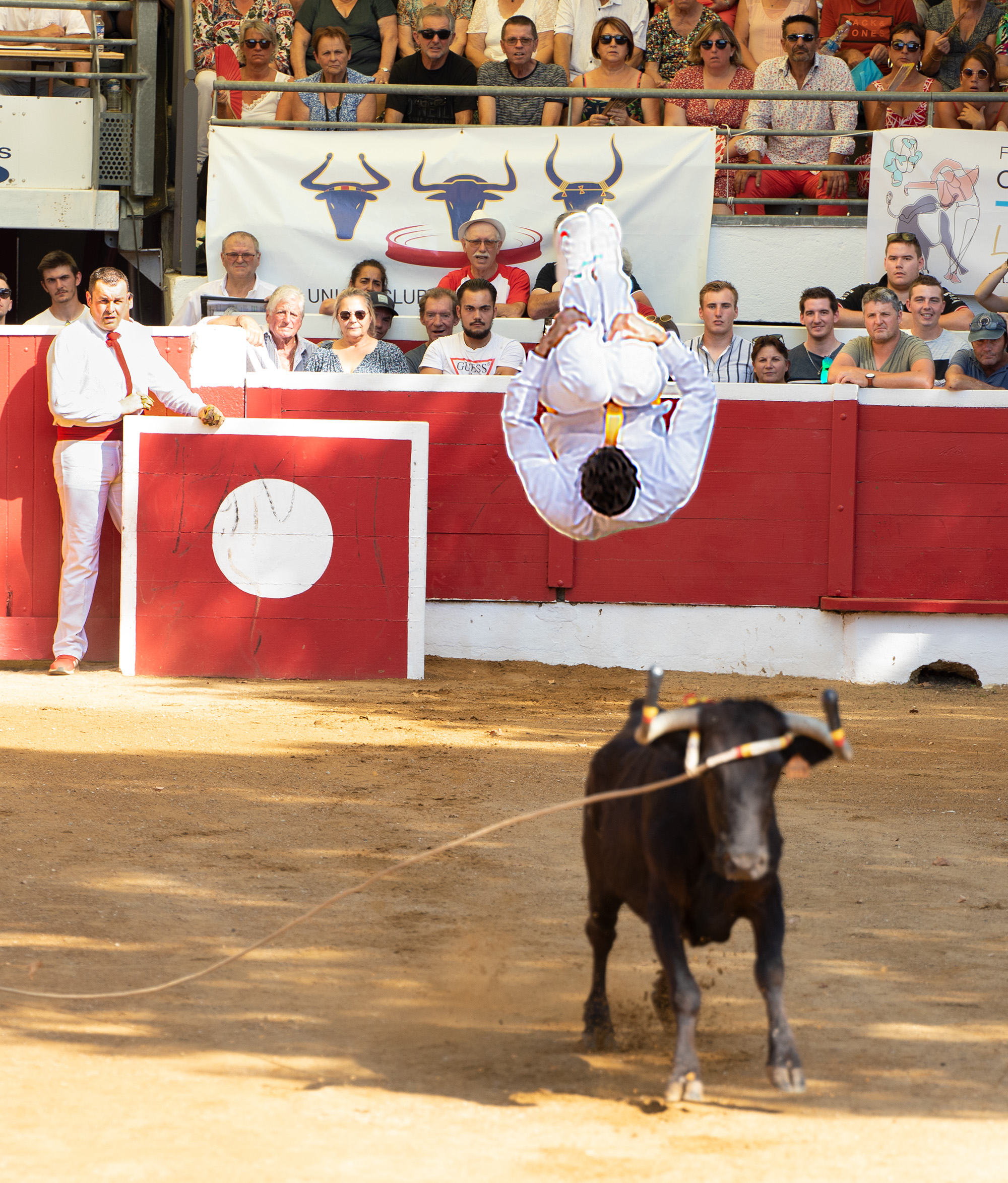 5 Saut périlleux 1bis 140722.jpg