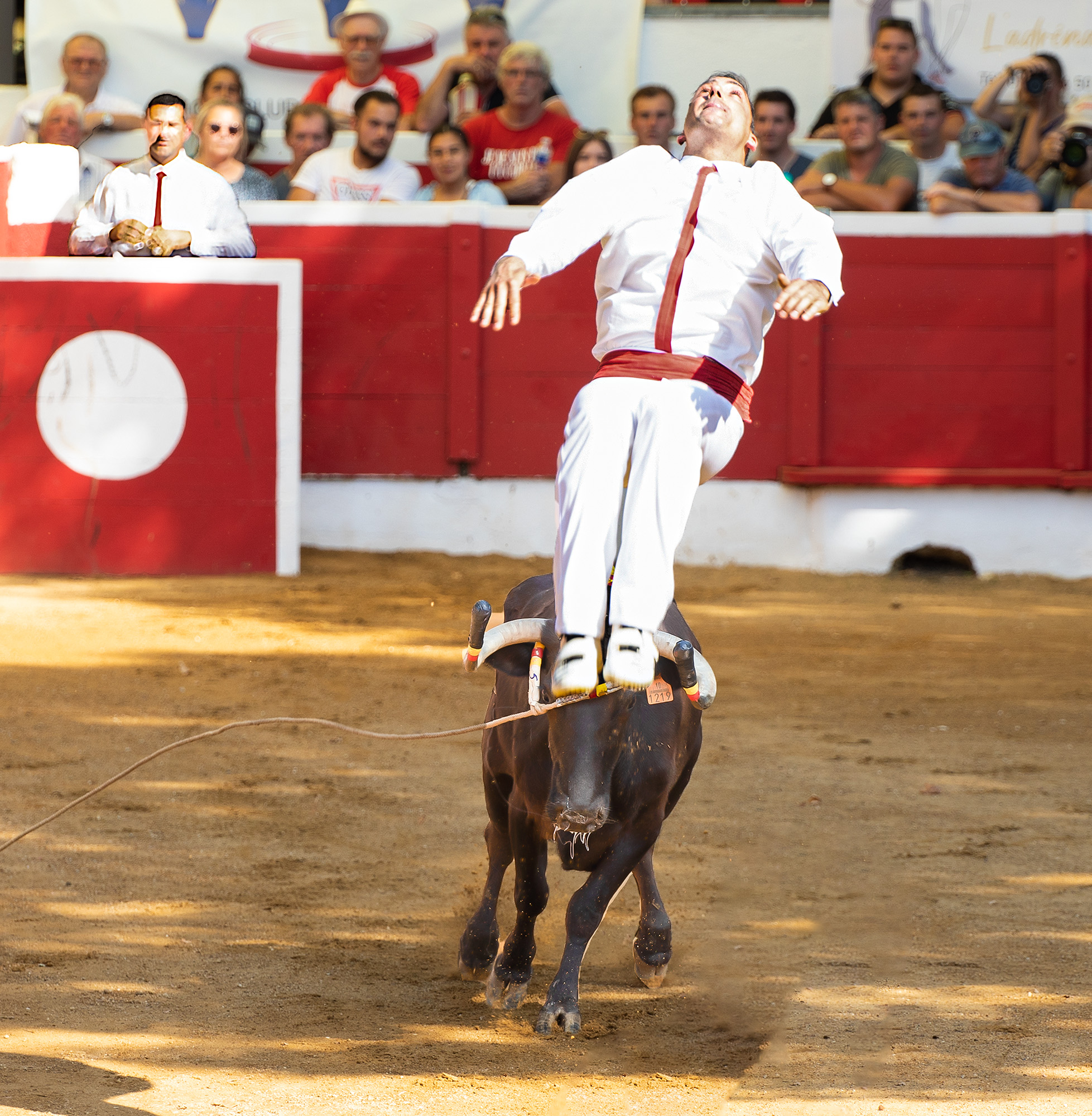 6 Saut périlleux 1bis 140722.jpg