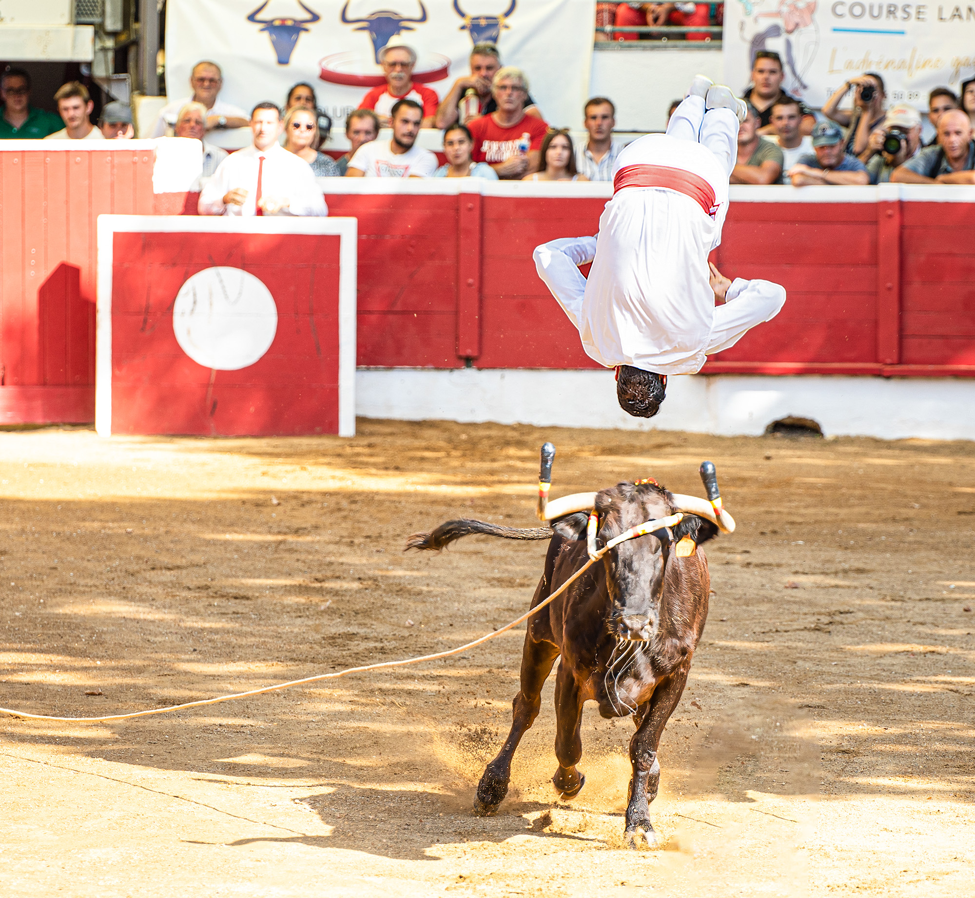 6bis Saut périlleux 1bis 140722.jpg