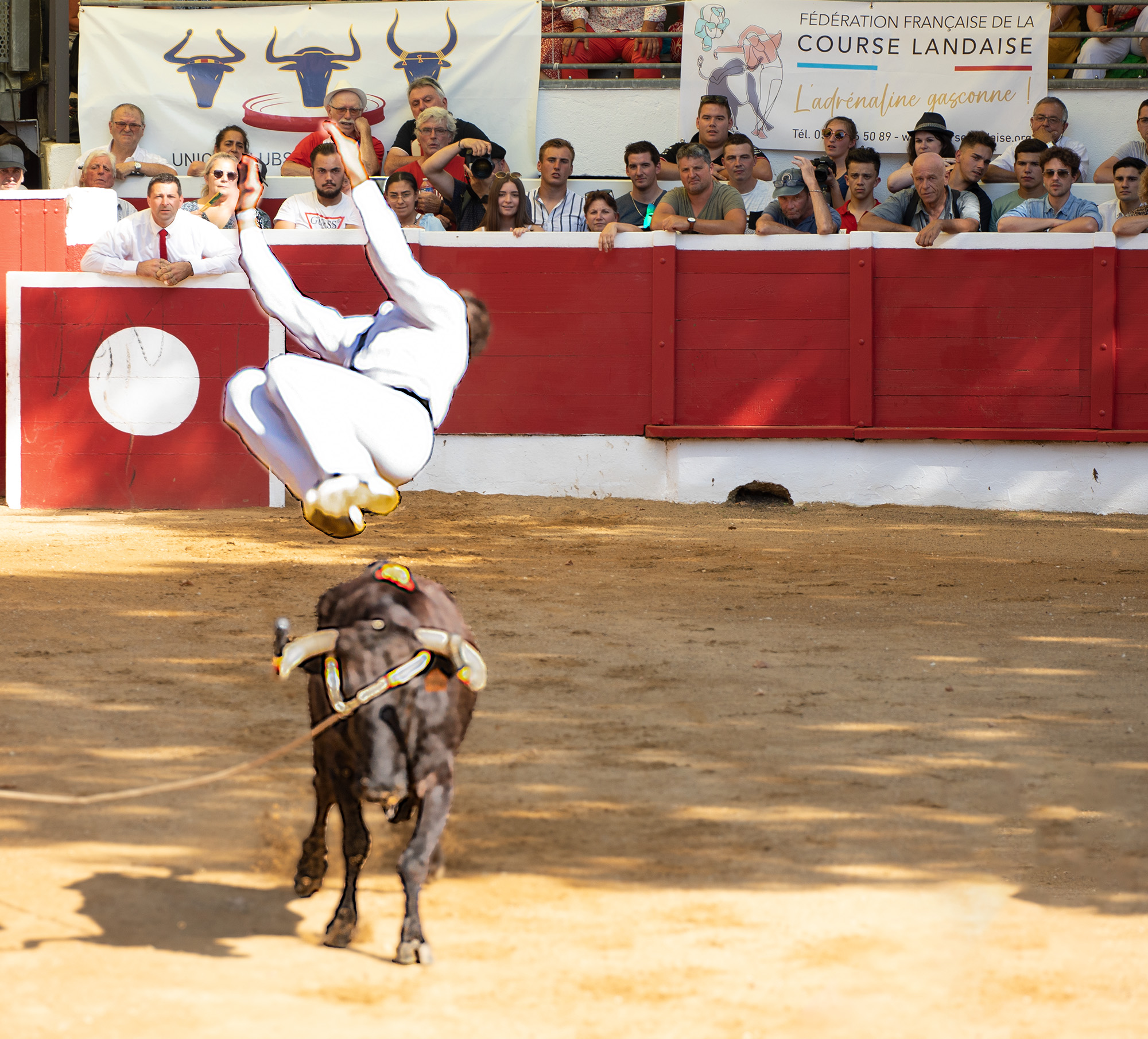 5bis Saut périlleux 1bis 140722.jpg