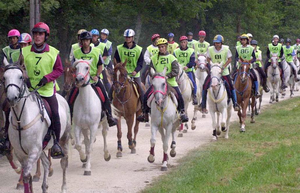 enduro equestre isle de noe.jpg