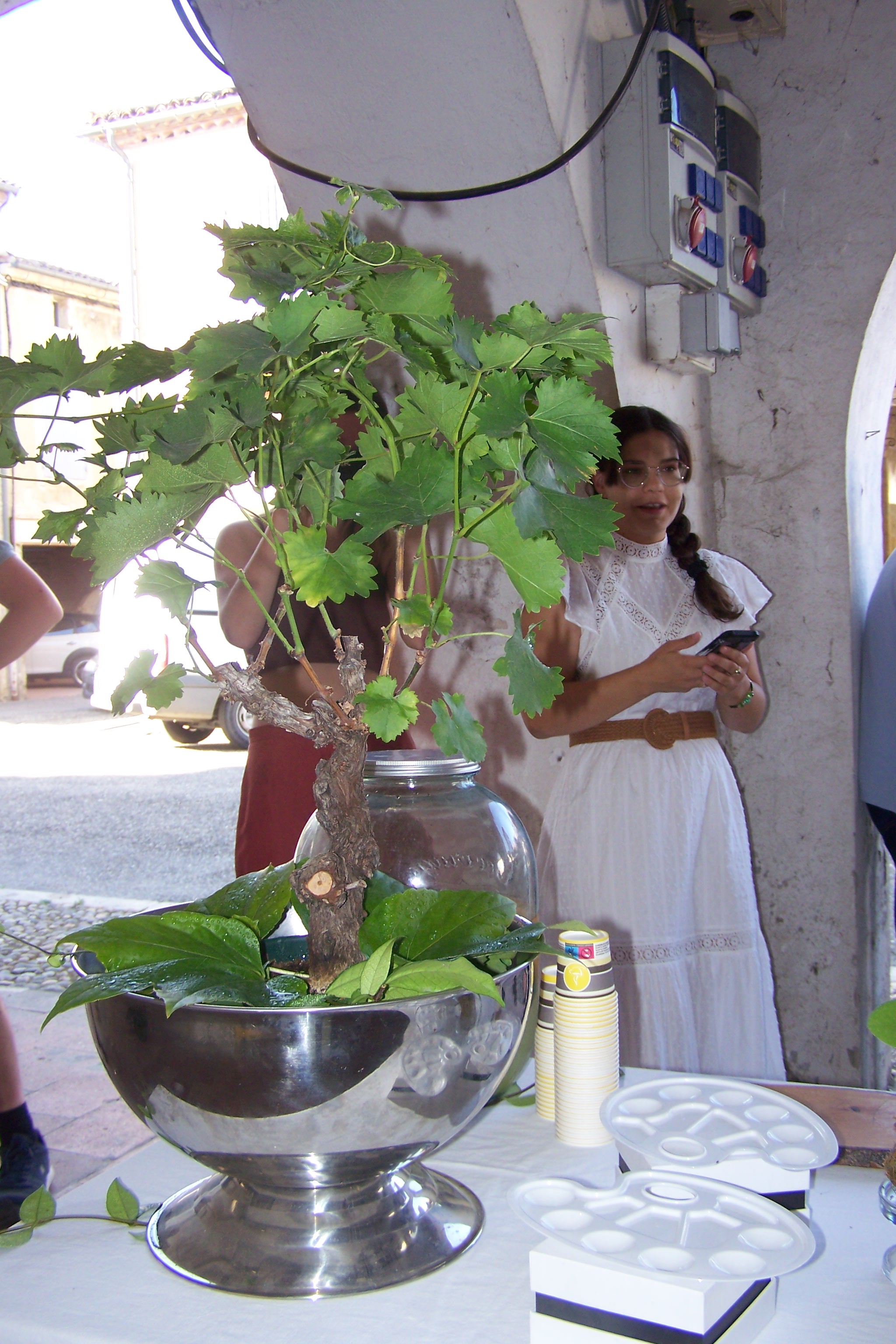 100_3114.JPG