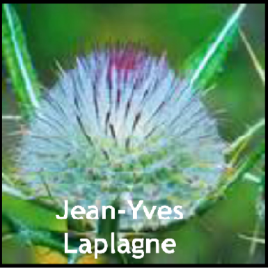 jean yves laplagne.png