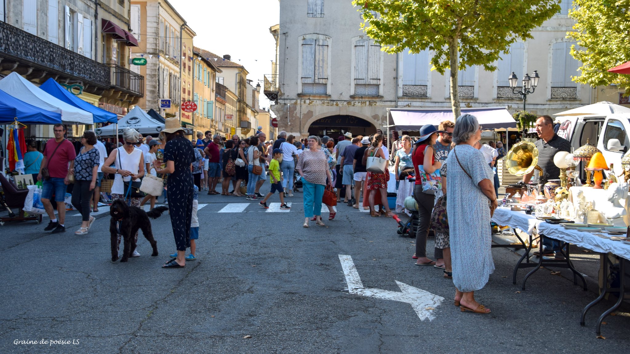 mirande rue pietonne 15 08 (3).jpg
