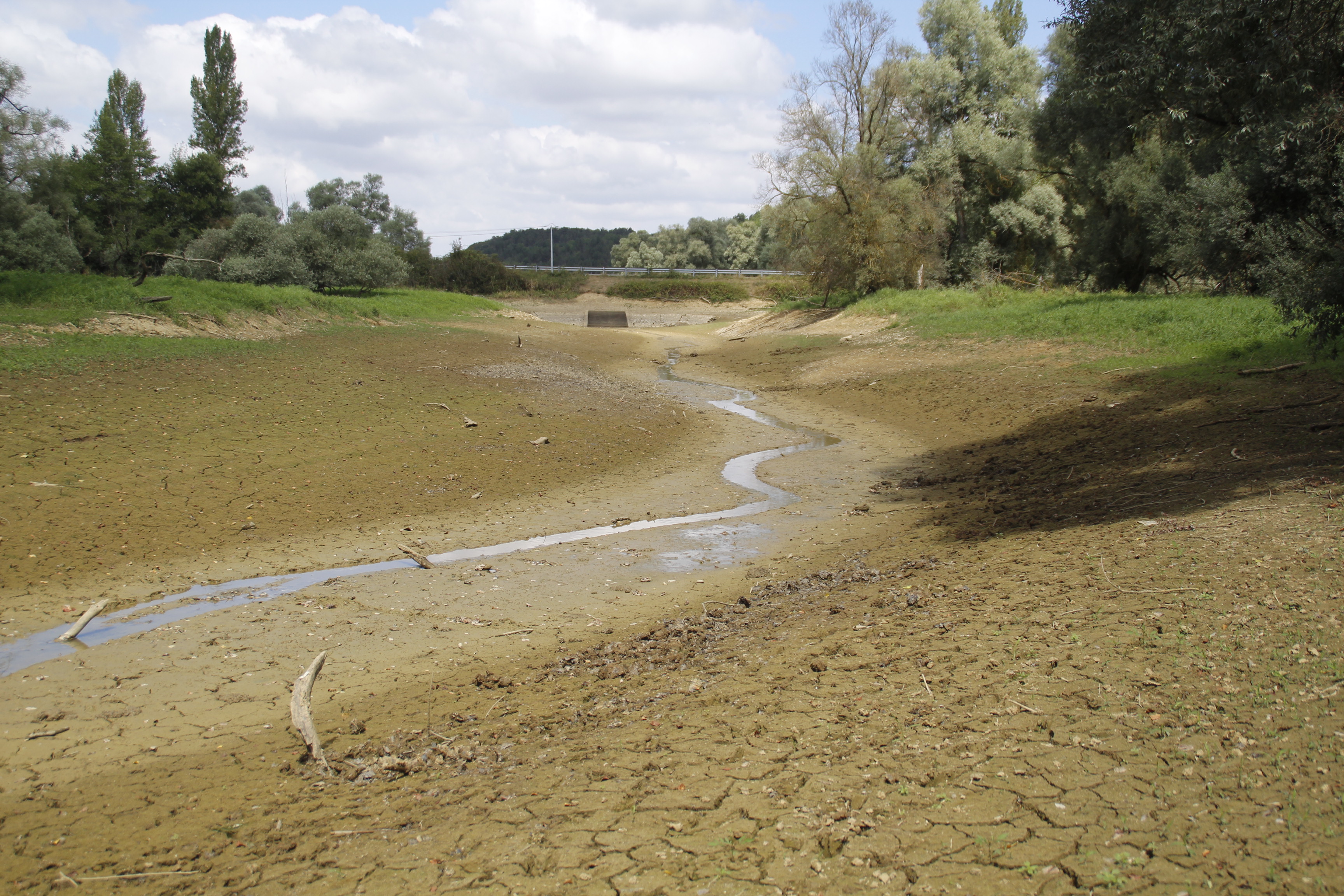 Mielan Lac 19082022 (57).JPG