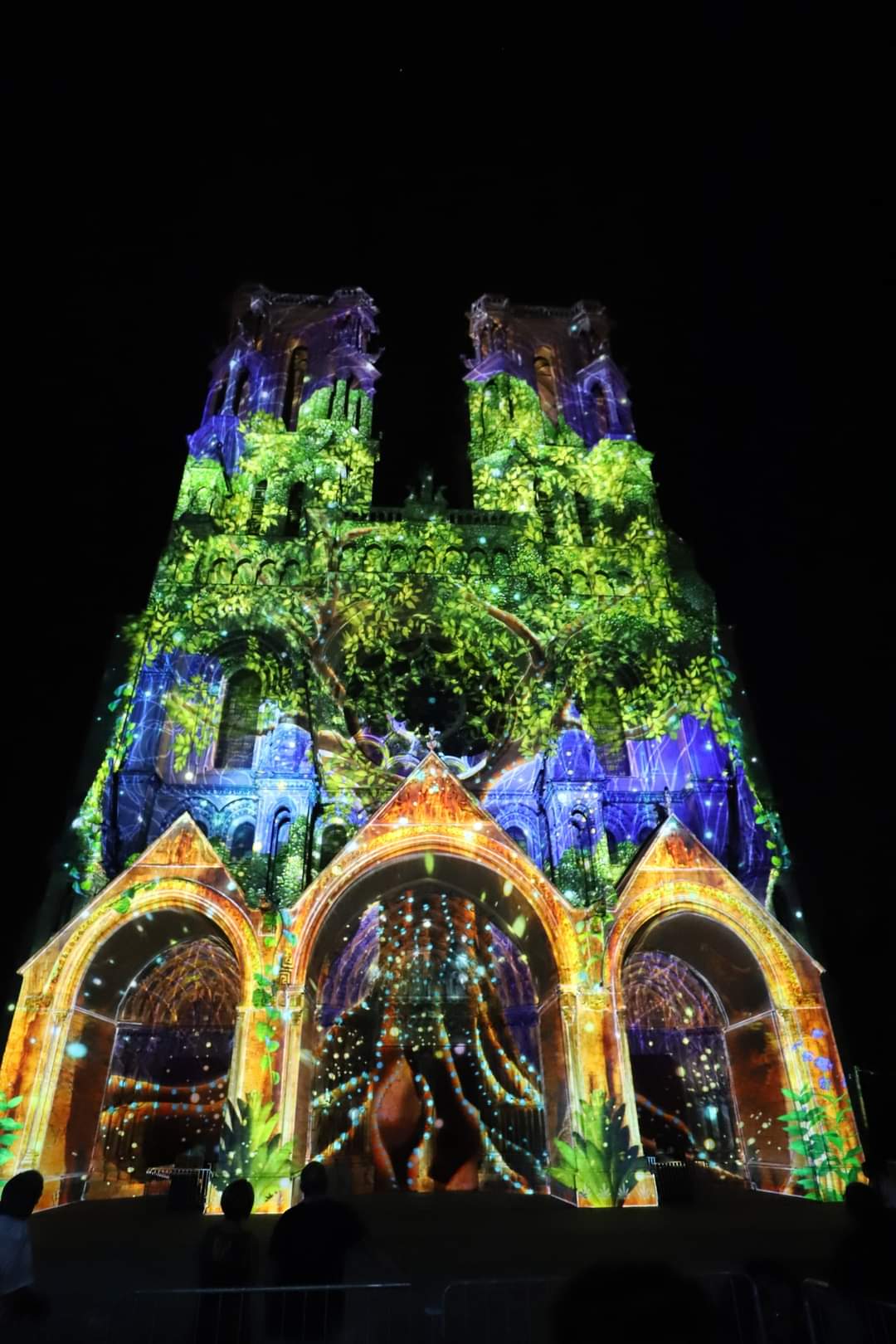 Mapping de Leslie Epsztein et Camille Gross